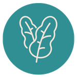 entretien responsable du camping pour la biodiversité