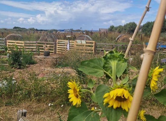 Activité nature Oléron jardin en permaculture