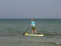 Paddle dans les marais île Oléron