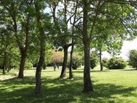 Plage de sable Oléron les Huttes