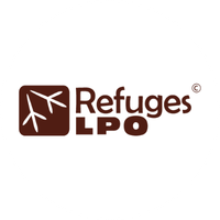 camping le chassiron refuge LPO observation oiseaux marins