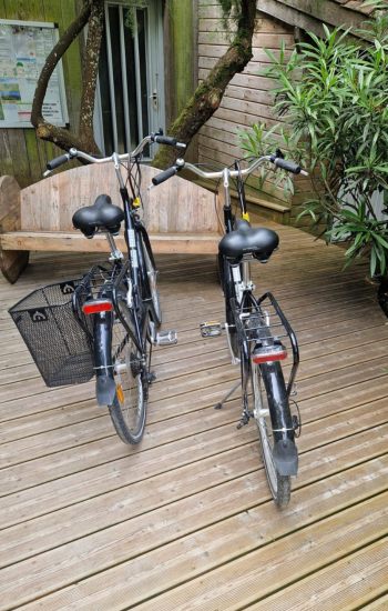 accueil vélo oléron camping le Chassiron